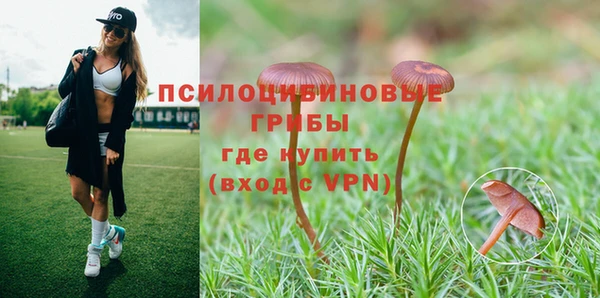 spice Алексеевка